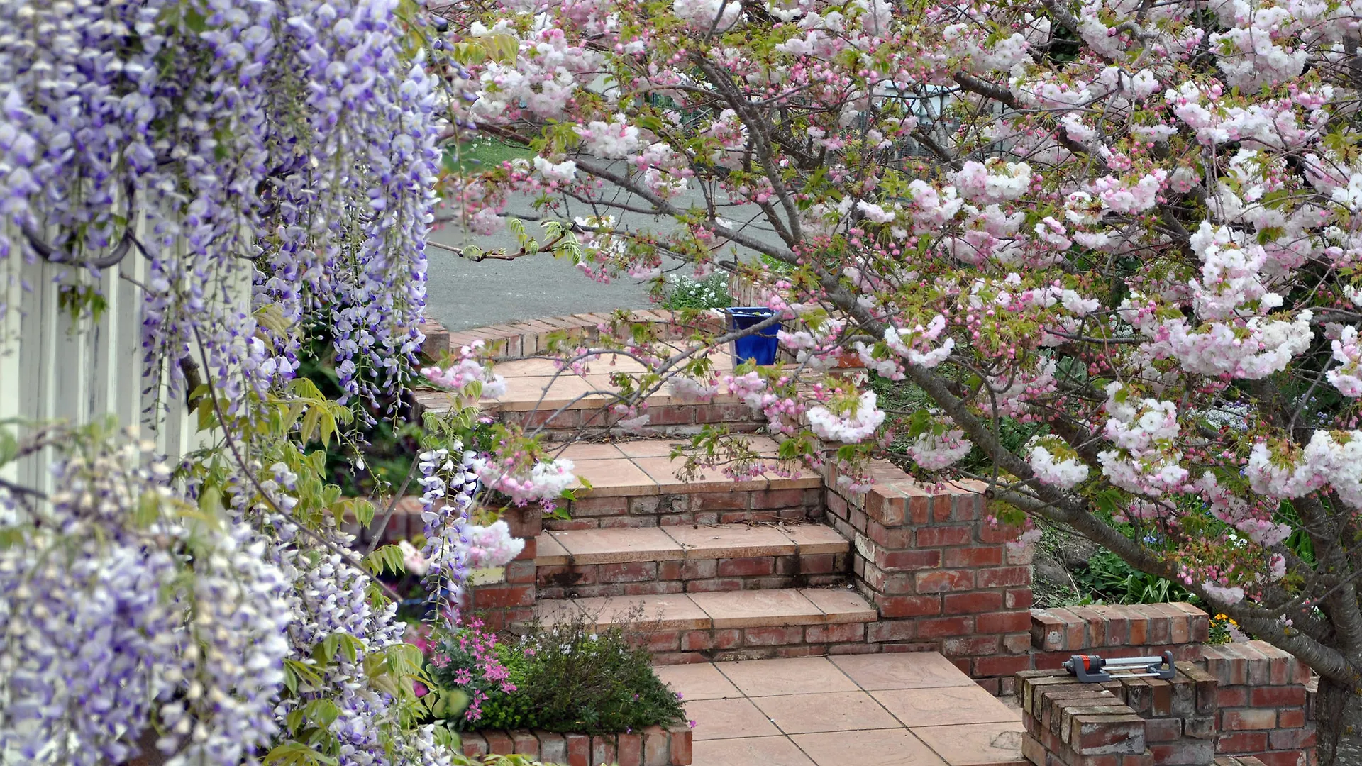 Dyers House Bed & Breakfast Christchurch